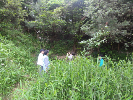 c0108460_18234224.jpg