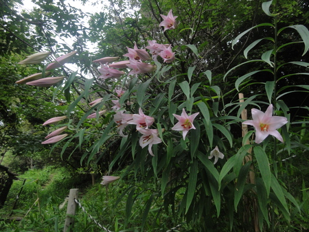 c0108460_20321547.jpg