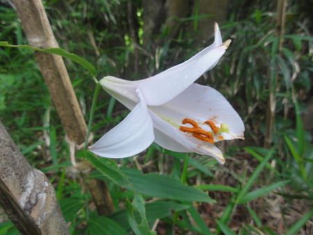 c0108460_2047630.jpg
