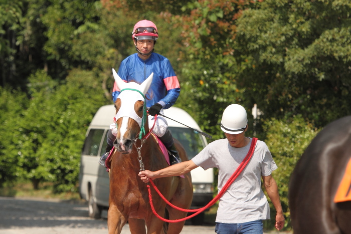 2012年5月18日（金） 高知競馬 1R 3歳-3_a0077663_6291745.jpg