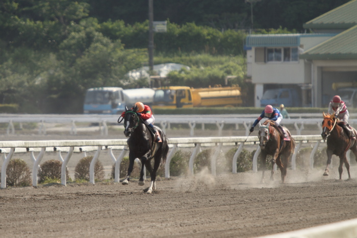 2012年5月18日（金） 高知競馬 1R 3歳-3_a0077663_6294450.jpg