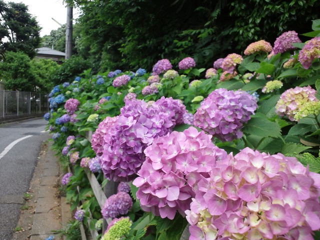 b0108363_1951460.jpg