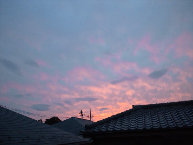 b0108363_1953966.jpg
