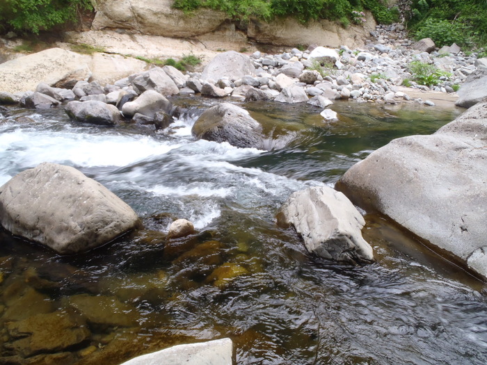 d0162663_2235793.jpg