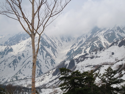 f0145963_11141225.jpg