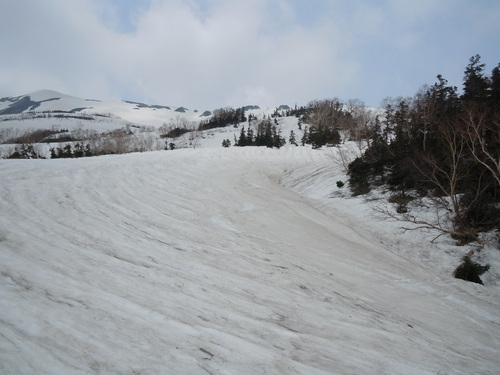 f0145963_11434182.jpg