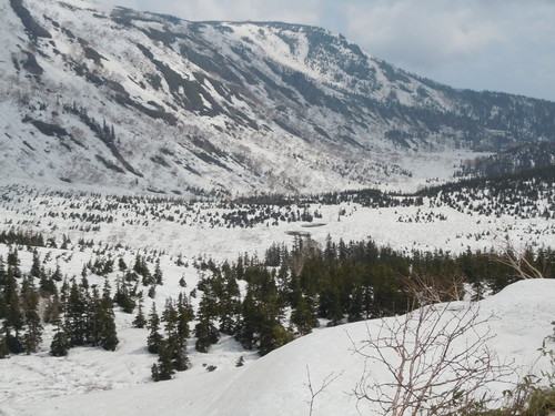 f0145963_119426.jpg