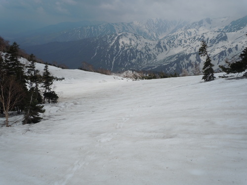 f0145963_12201215.jpg