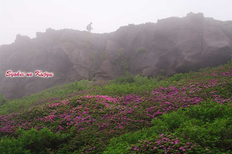 f0173067_12581181.jpg