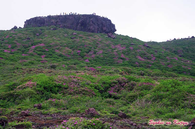 f0173067_1312471.jpg
