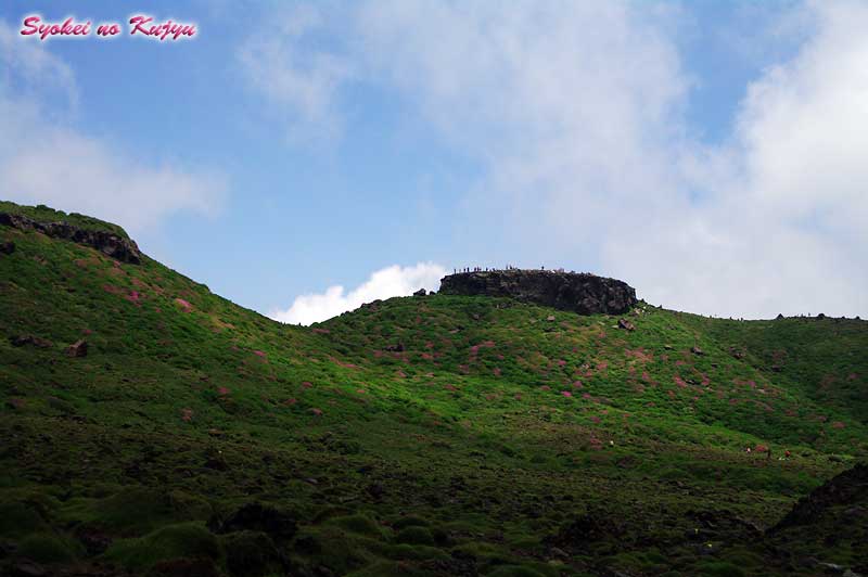 f0173067_1314643.jpg