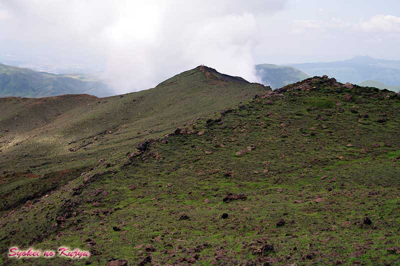 f0173067_1345466.jpg