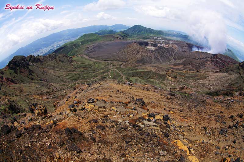 f0173067_135954.jpg
