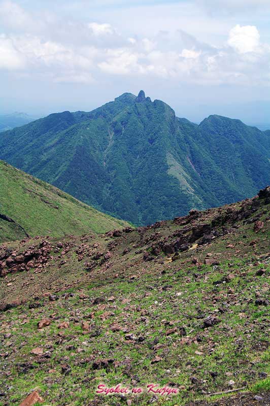 f0173067_1375178.jpg