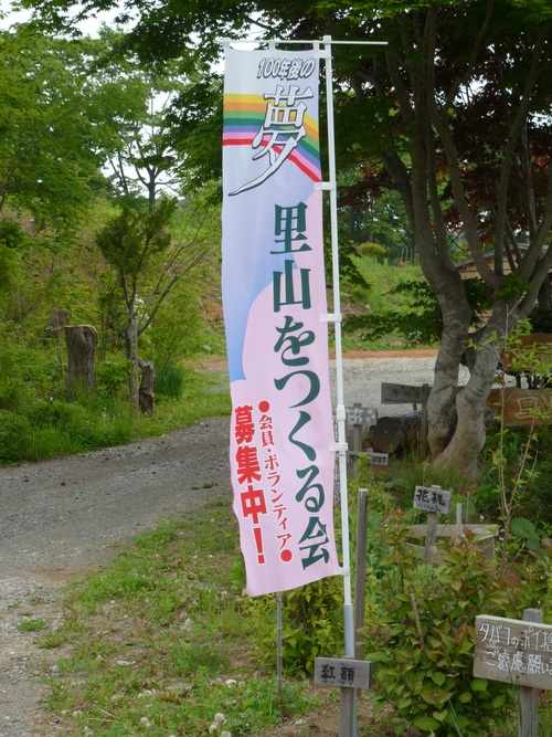 a0205377_12202755.jpg