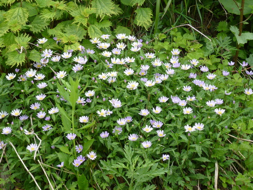 a0205377_1262879.jpg