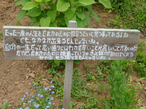 a0205377_1275713.jpg