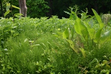 c0057781_14564891.jpg