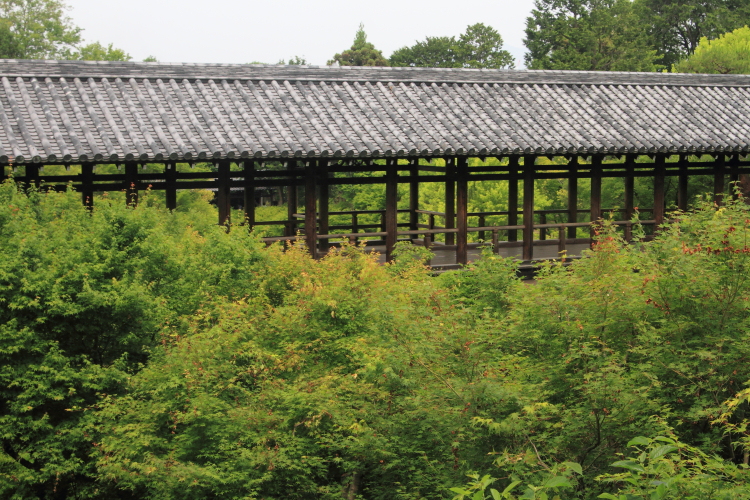 東福寺_e0051888_21405912.jpg