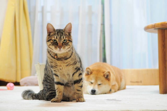 お返事上手_a0126590_22444110.jpg