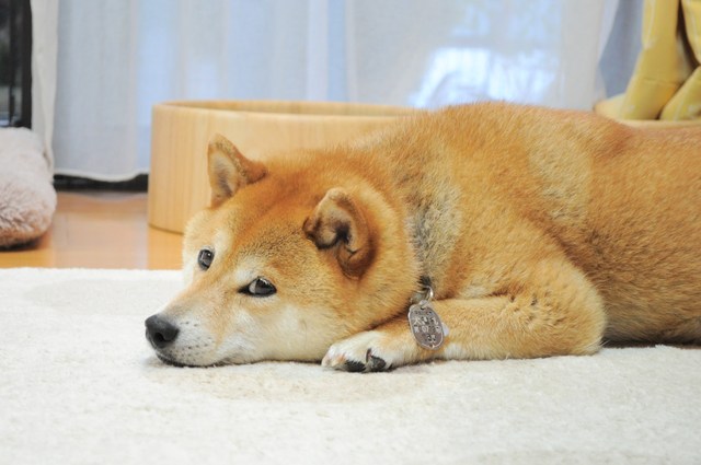 お返事上手_a0126590_2248159.jpg