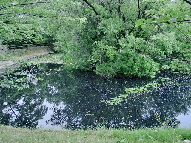 d0181492_020199.jpg