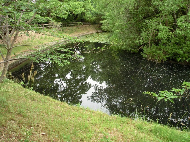 d0181492_020564.jpg