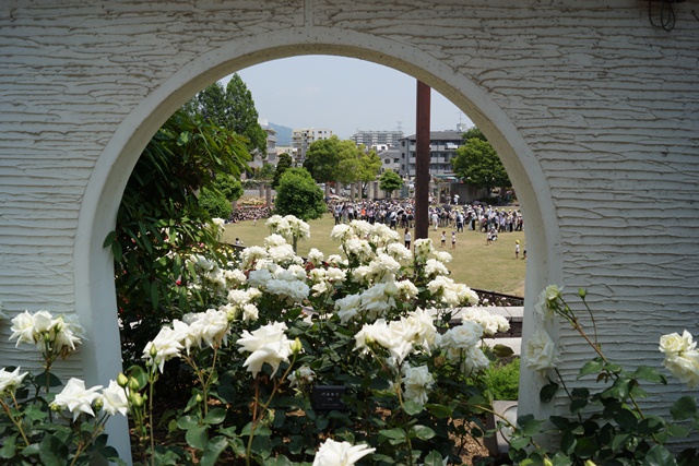 d0181492_15474651.jpg