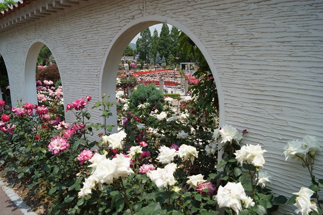d0181492_1548290.jpg