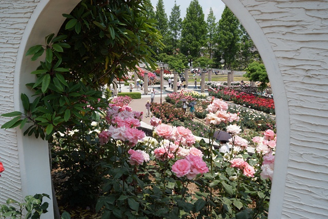 d0181492_1549094.jpg