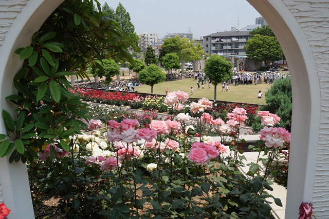 d0181492_15491430.jpg