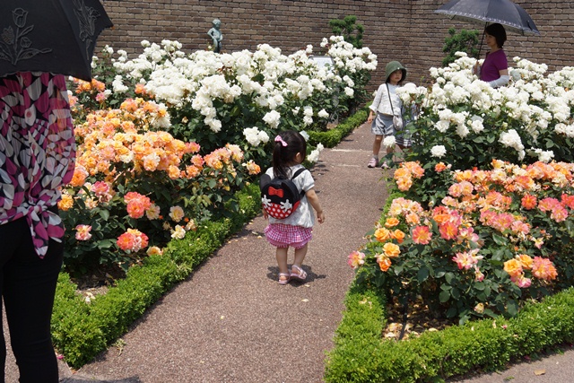 d0181492_15534843.jpg