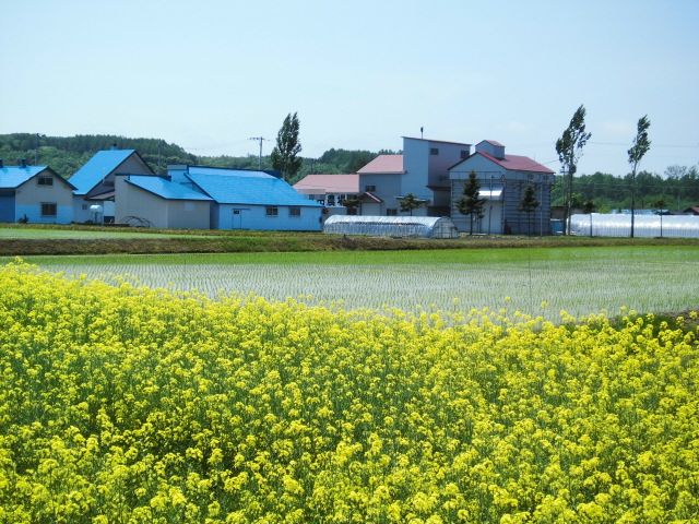 c0235399_2022490.jpg