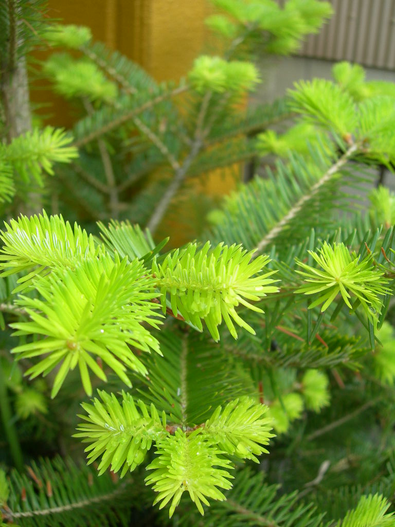 c0220700_12132080.jpg