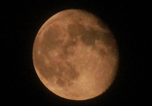 c0017802_23445417.jpg
