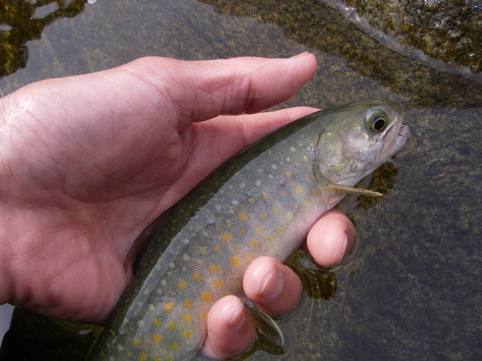 c0180802_22153146.jpg