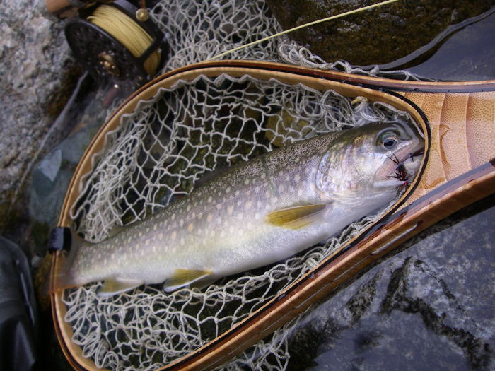 c0180802_2217781.jpg