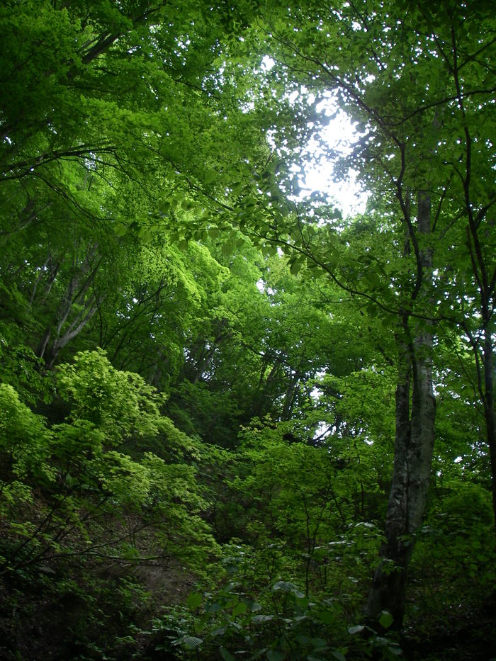 c0180802_2283799.jpg
