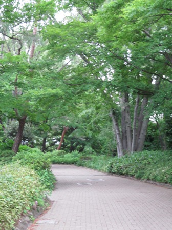 a0235705_87971.jpg