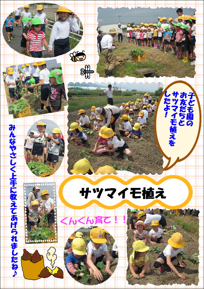 サツマイモ植え_b0022310_1905544.jpg