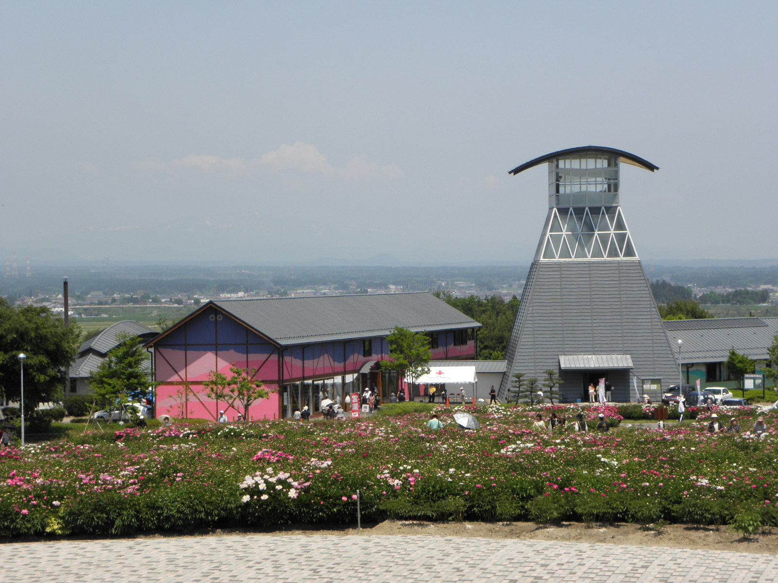 c0165914_1651321.jpg