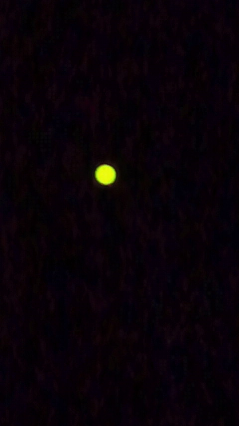 さようなら、金星ヴィーナスよ！：金星の太陽表面通過、次は１０５年後！_e0171614_13481056.jpg