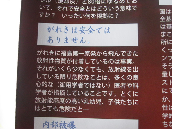 鹿児島県知事は「凄し」☆_a0125419_11272467.jpg