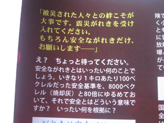 鹿児島県知事は「凄し」☆_a0125419_1127548.jpg