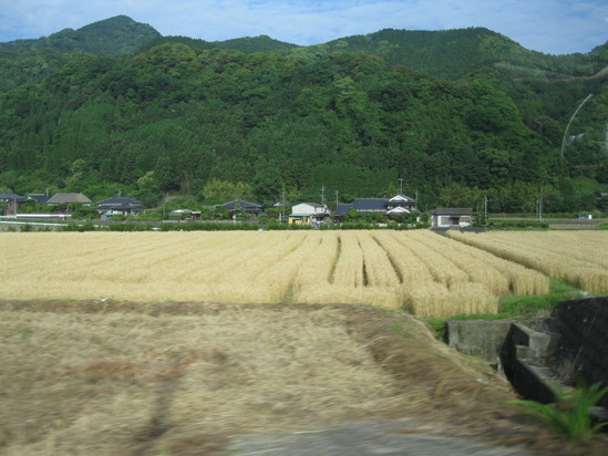 諫早～佐賀～水上村へ～☆_a0125419_9472545.jpg