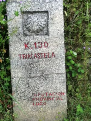 e0273924_13531762.jpg