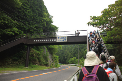 d0055236_1727064.jpg