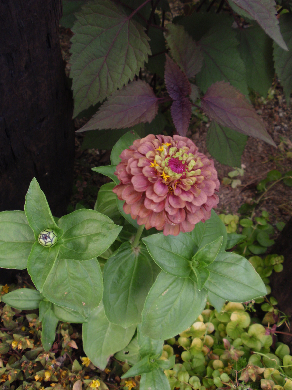 c0248940_23561666.jpg