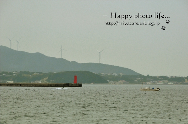 梅雨入り前の淡路島（その２）。。_f0199649_9382969.jpg