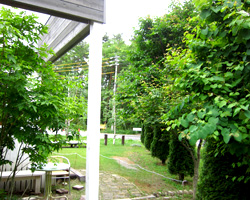 d0050155_6555886.jpg